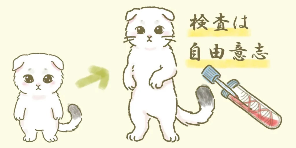遺伝子検査は子供が大人になったときに、するかしないかを決める権利があることを解説するイメージ画像
