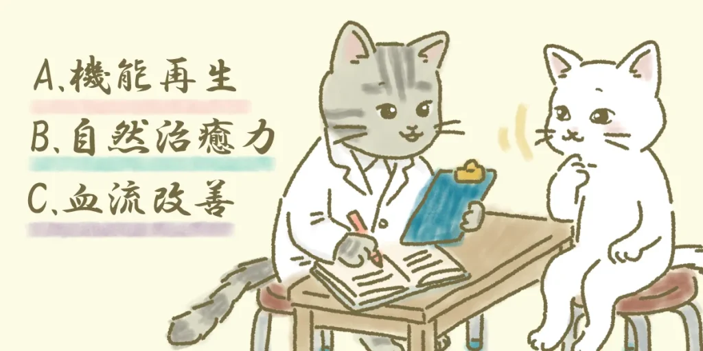全身検査結果に基づき脊髄小脳変性症の治療プランをご案内するイメージ画像