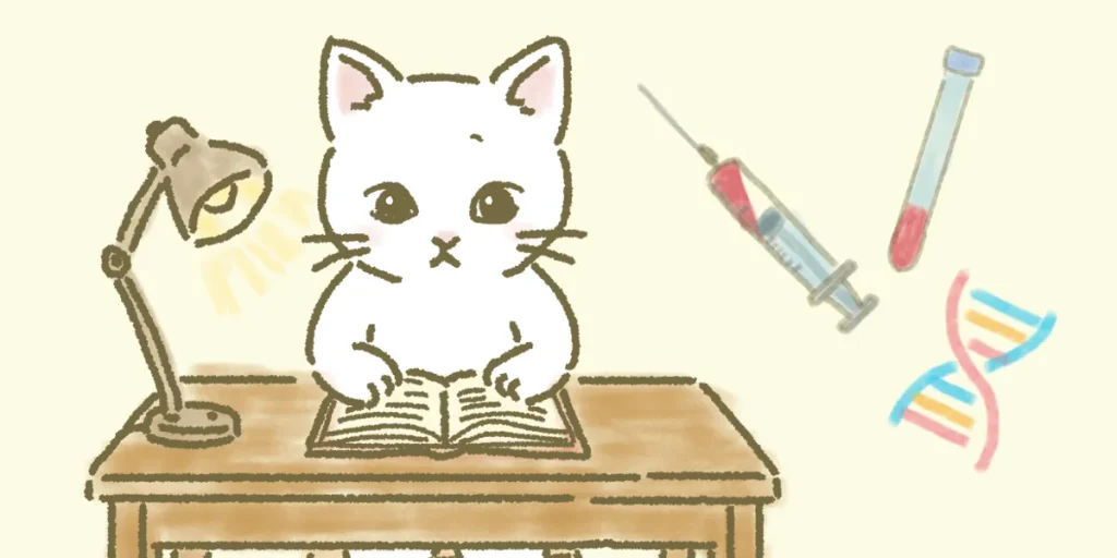 出生前診断と着床前診断の違いを理解し、納得のいく選択を勧めるイメージ画像