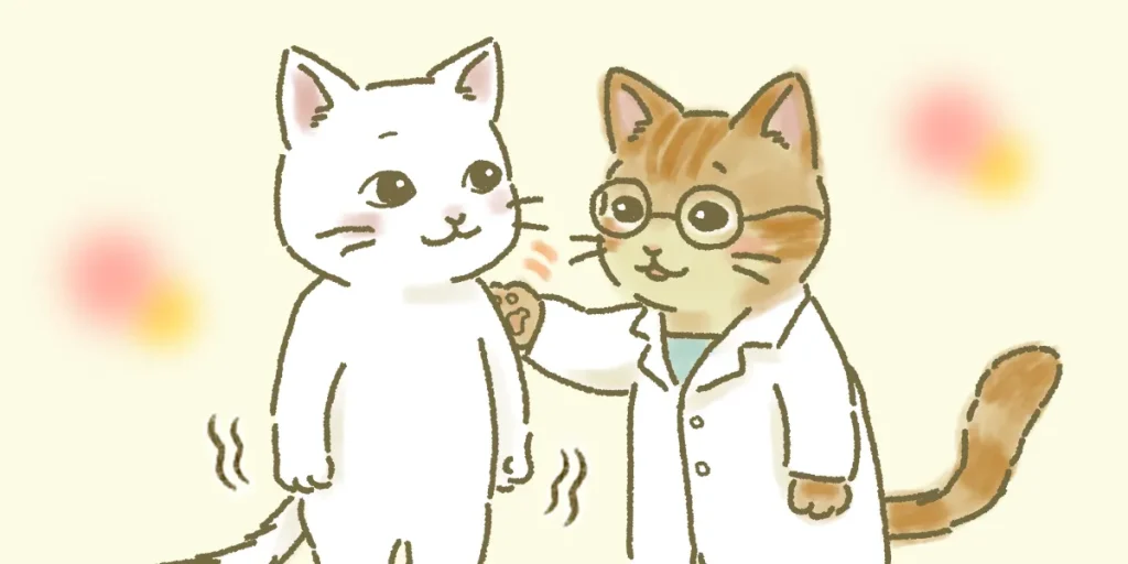 妊娠や出産は遺伝子診療専門の先生と相談し納得のいく選択をすることを勧めるイメージ画像