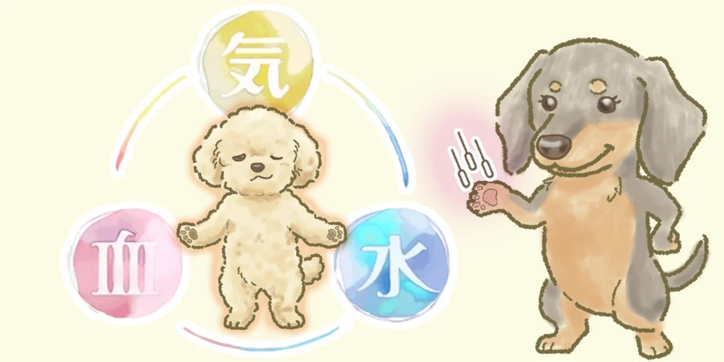 回復に欠かせない、気・血・水を鍼灸を用いて整える図
