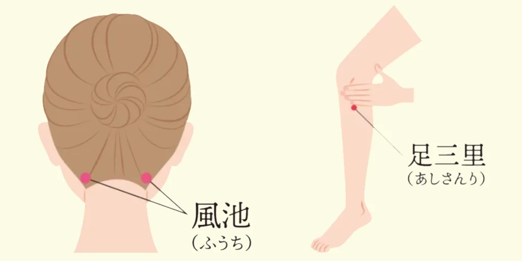 「風池」と「足三里」のツボの位置