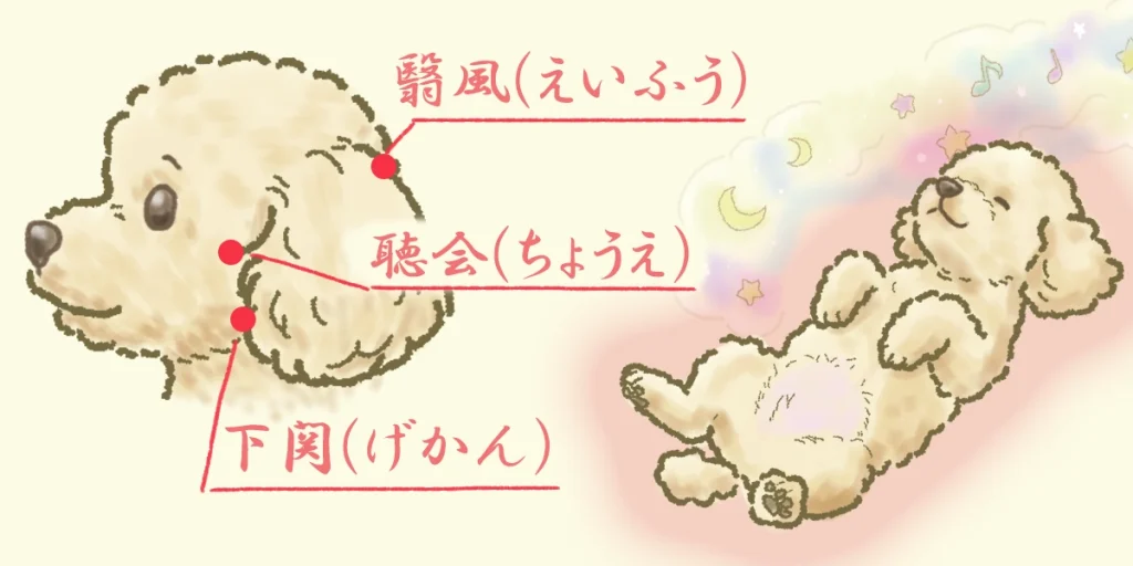 ハント症候群に効果的なツボの例とノンレム睡眠による再生力回復の図