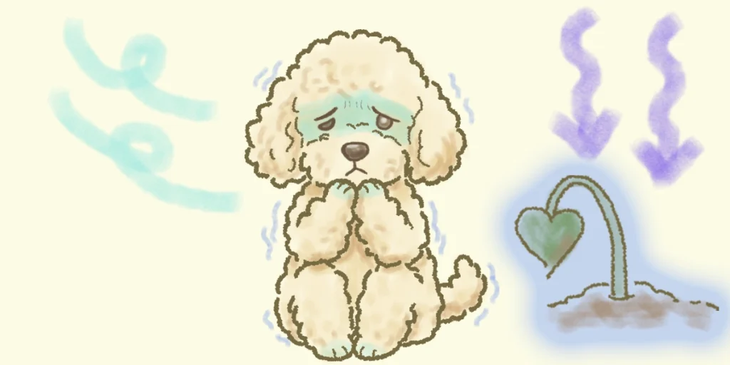 「冷え」による弊害をご紹介します。