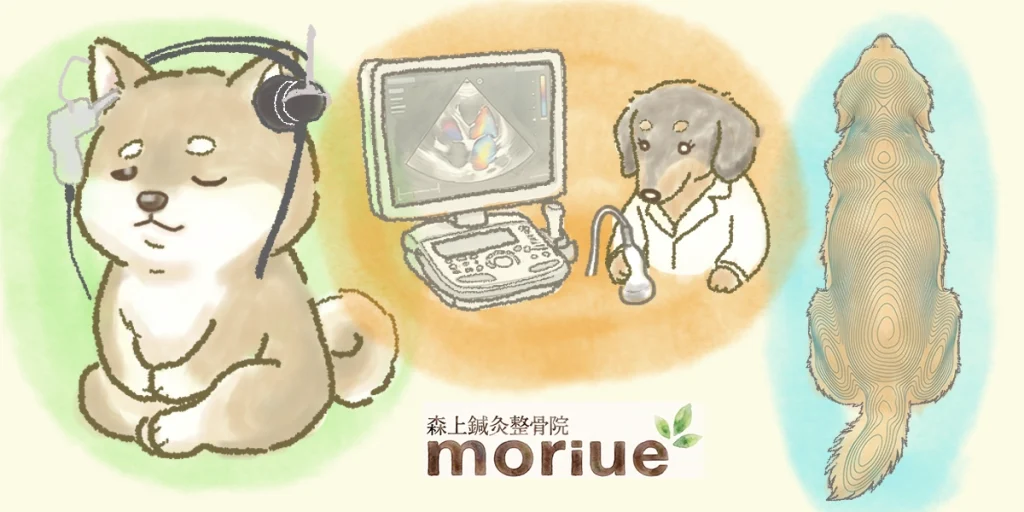 森上鍼灸整骨院で行われている検査の例