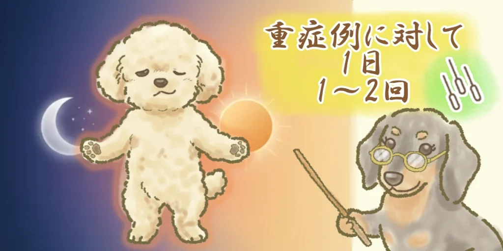 1日1～2回の高頻度で顔面神経の血流をアップさせる。