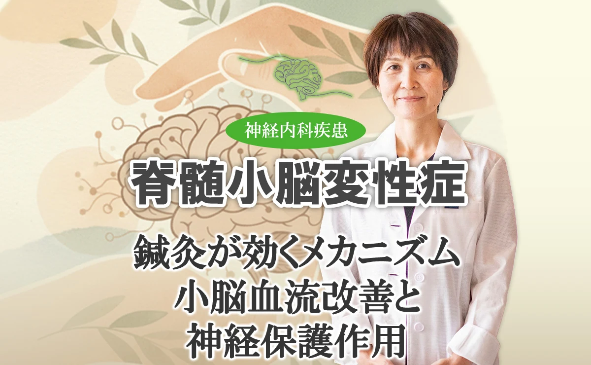 脊髄小脳変性症の小脳血流改善と神経保護作用に鍼灸なぜ効くのか、メカニズムを専門家が解説します