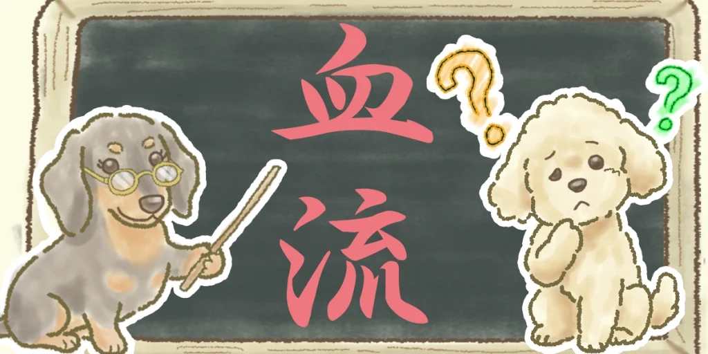 鍼灸治療において血流が肝心な理由とは？